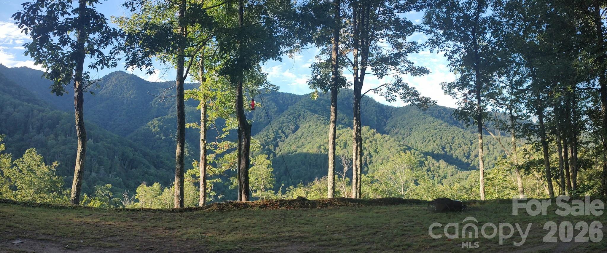 241 Bloom Trail Sylva NC 28779