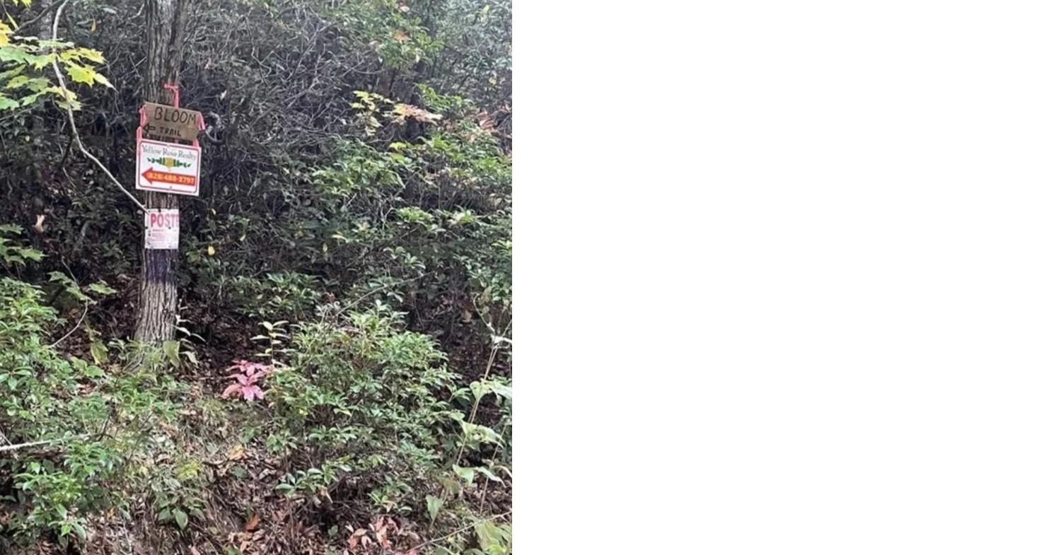 241 Bloom Trail Sylva NC 28779