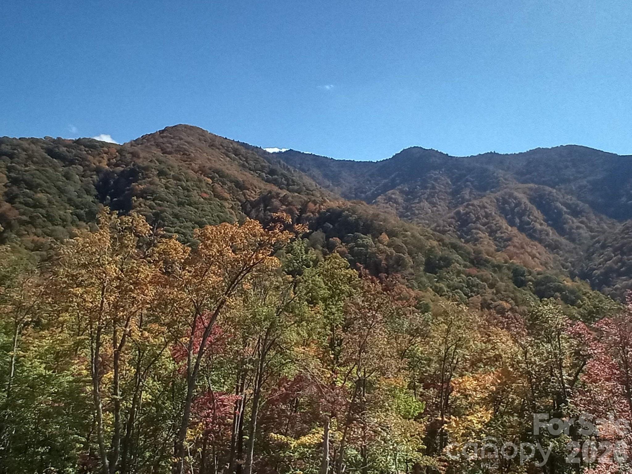 241 Bloom Trail Sylva NC 28779