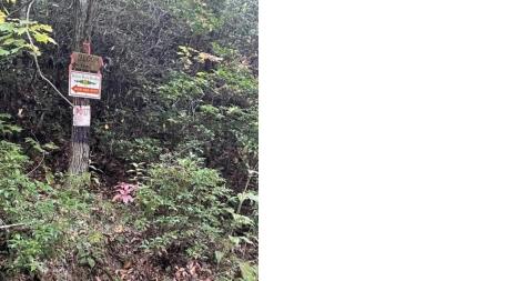 241 Bloom Trail Sylva NC 28779