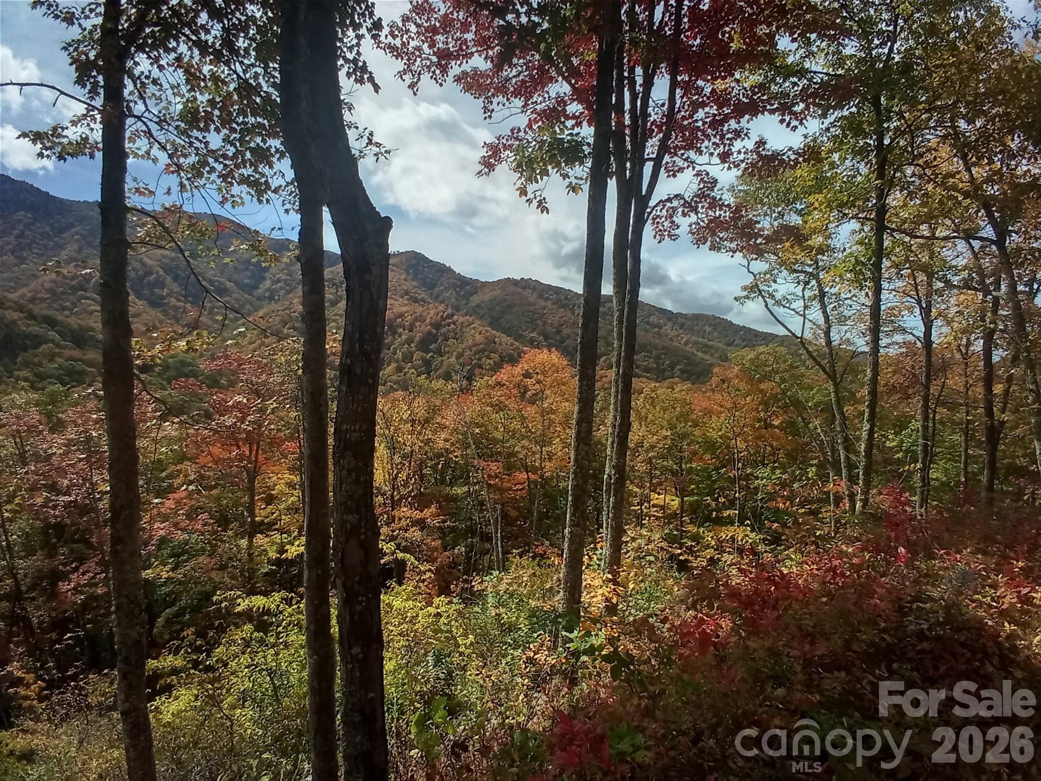 241 Bloom Trail Sylva NC 28779
