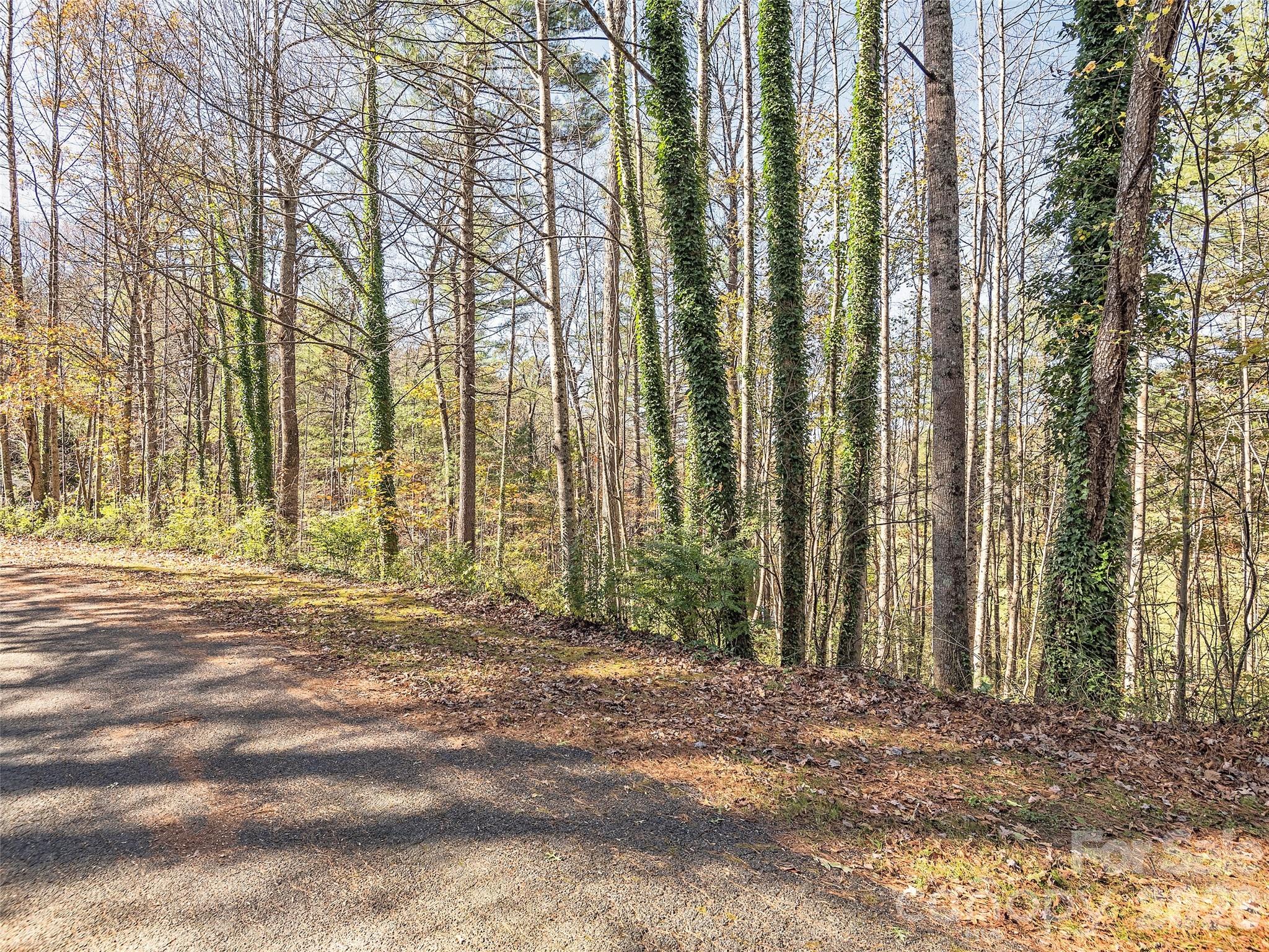 Lot 15 Mountain Lakes Drive Hendersonville NC 28739