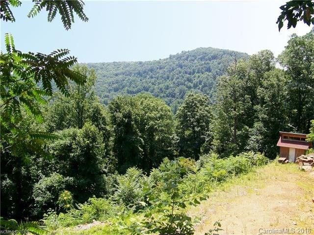 10 Scott Mountain Road Asheville NC 28806