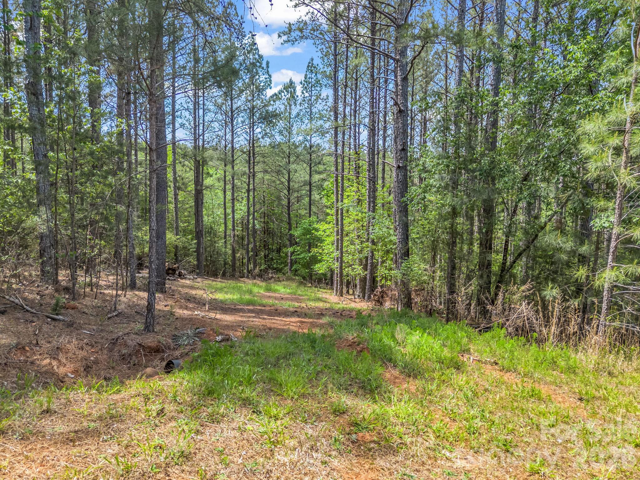 111 Cranberry Lane Mooresboro NC 28114