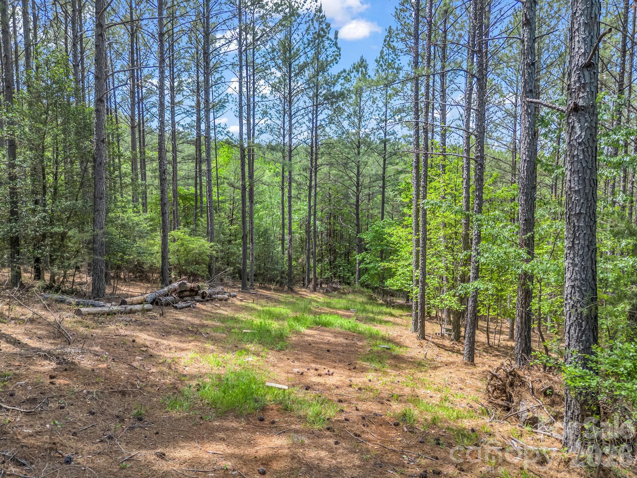 111 Cranberry Lane Mooresboro NC 28114