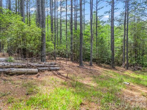 111 Cranberry Lane Mooresboro NC 28114