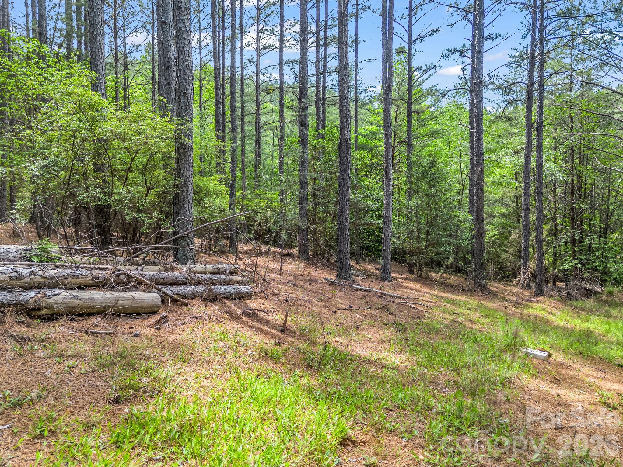 111 Cranberry Lane Mooresboro NC 28114