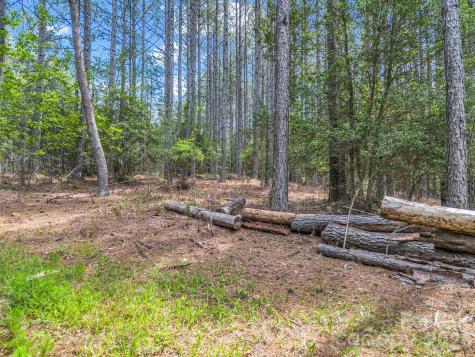 111 Cranberry Lane Mooresboro NC 28114