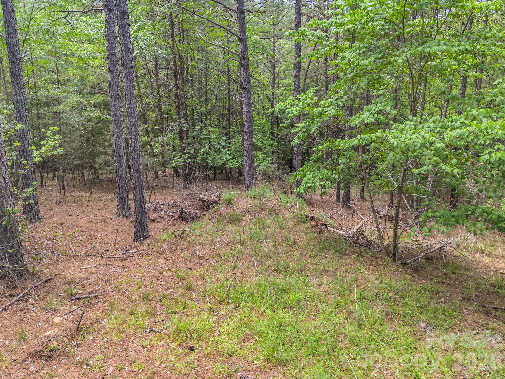111 Cranberry Lane Mooresboro NC 28114