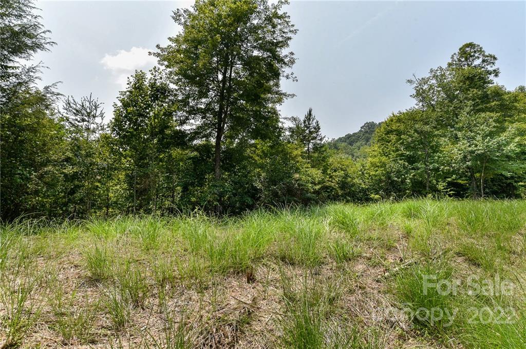 441 The Vines Boulevard Marshall NC 28753