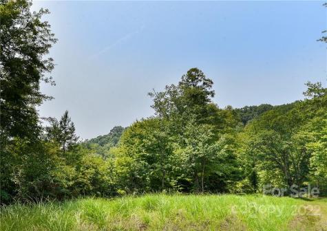 441 The Vines Boulevard Marshall NC 28753