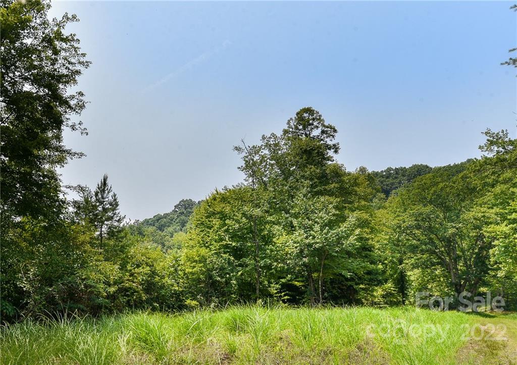 441 The Vines Boulevard Marshall NC 28753