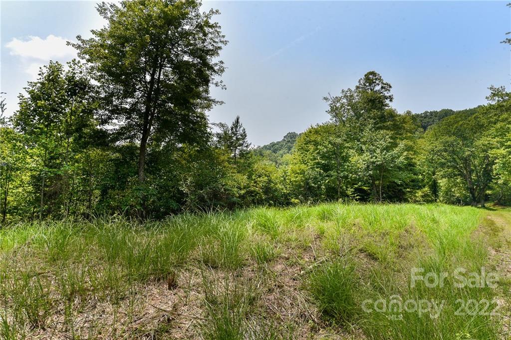 441 The Vines Boulevard Marshall NC 28753