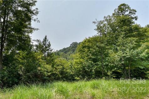 441 The Vines Boulevard Marshall NC 28753