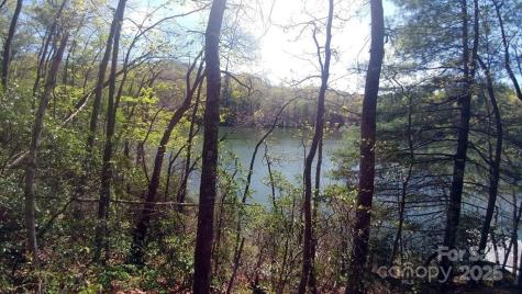 Lot 5 Dars Lane Tuckasegee NC 28783