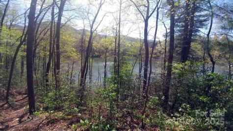 Lot 5 Dars Lane Tuckasegee NC 28783