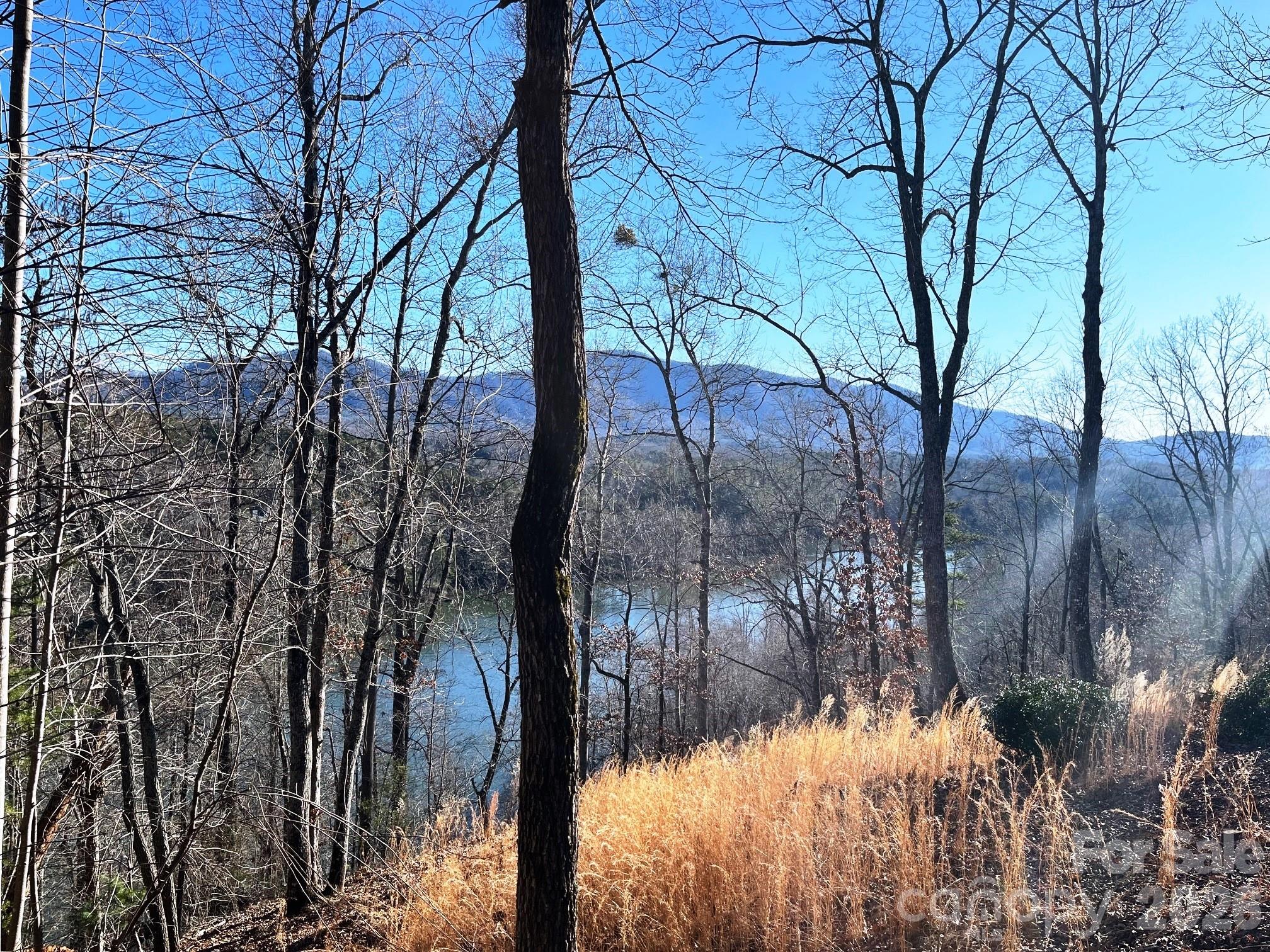 Lot 30 Mountain Parkway Mill Spring NC 28756