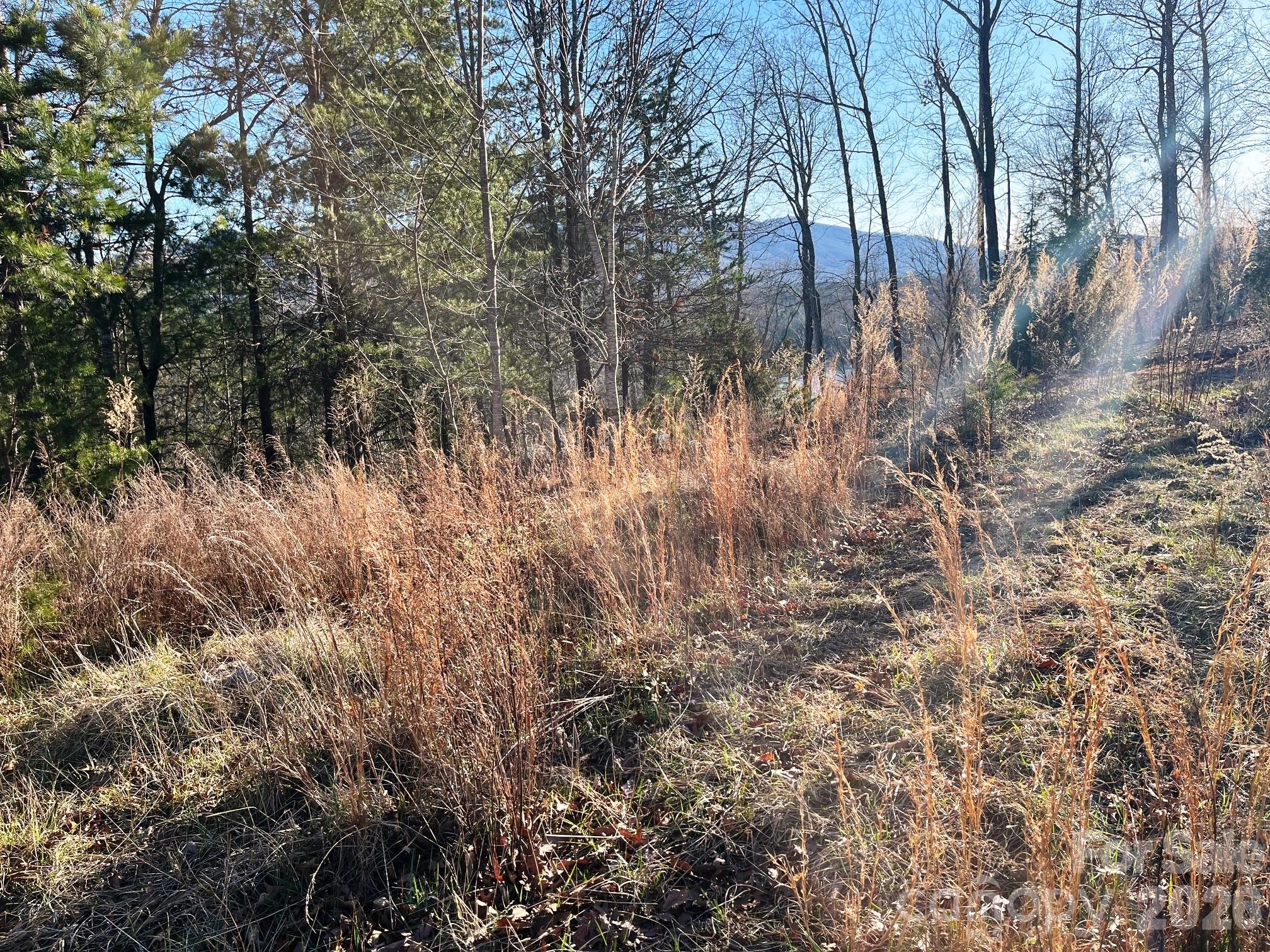 Lot 30 Mountain Parkway Mill Spring NC 28756
