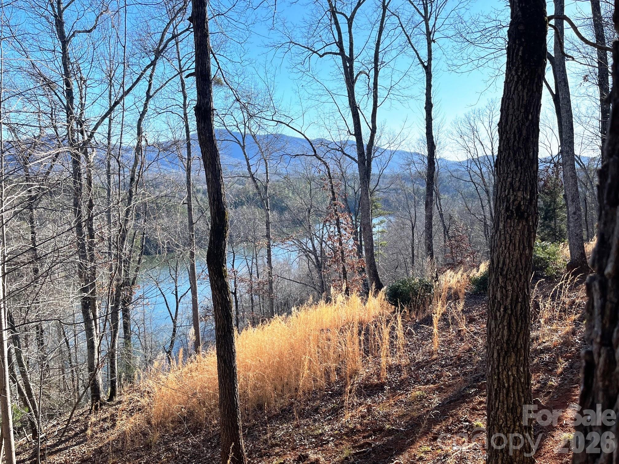 Lot 30 Mountain Parkway Mill Spring NC 28756