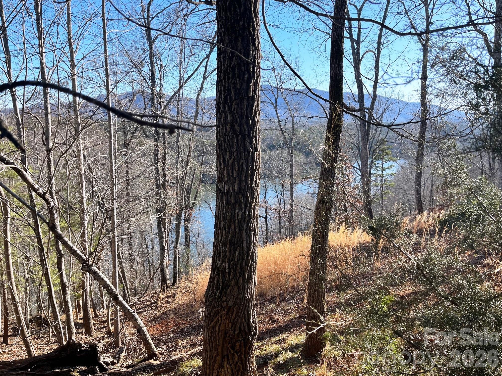 Lot 30 Mountain Parkway Mill Spring NC 28756