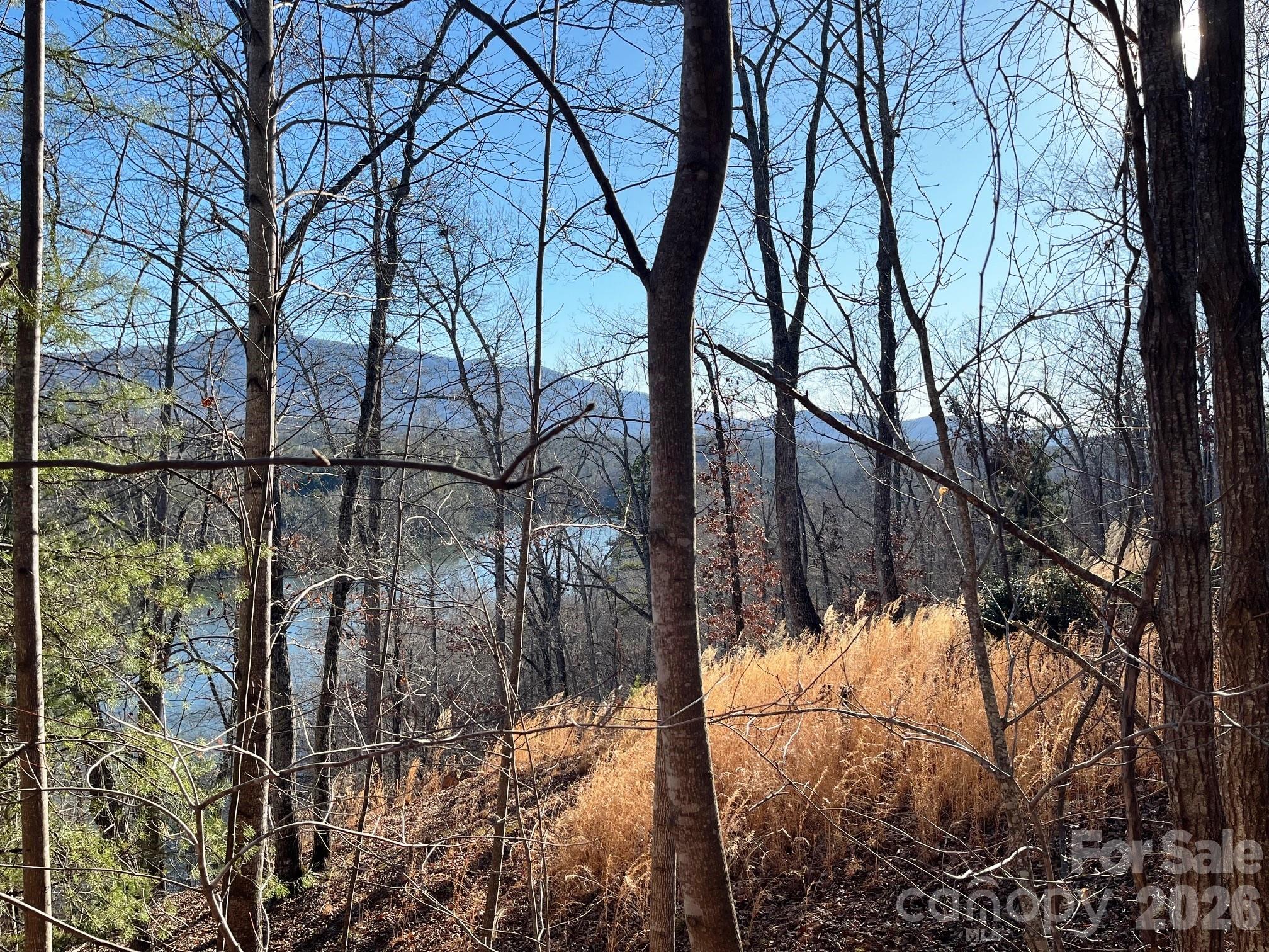 Lot 30 Mountain Parkway Mill Spring NC 28756