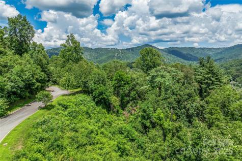 29 Grovepoint Way Asheville NC 28804