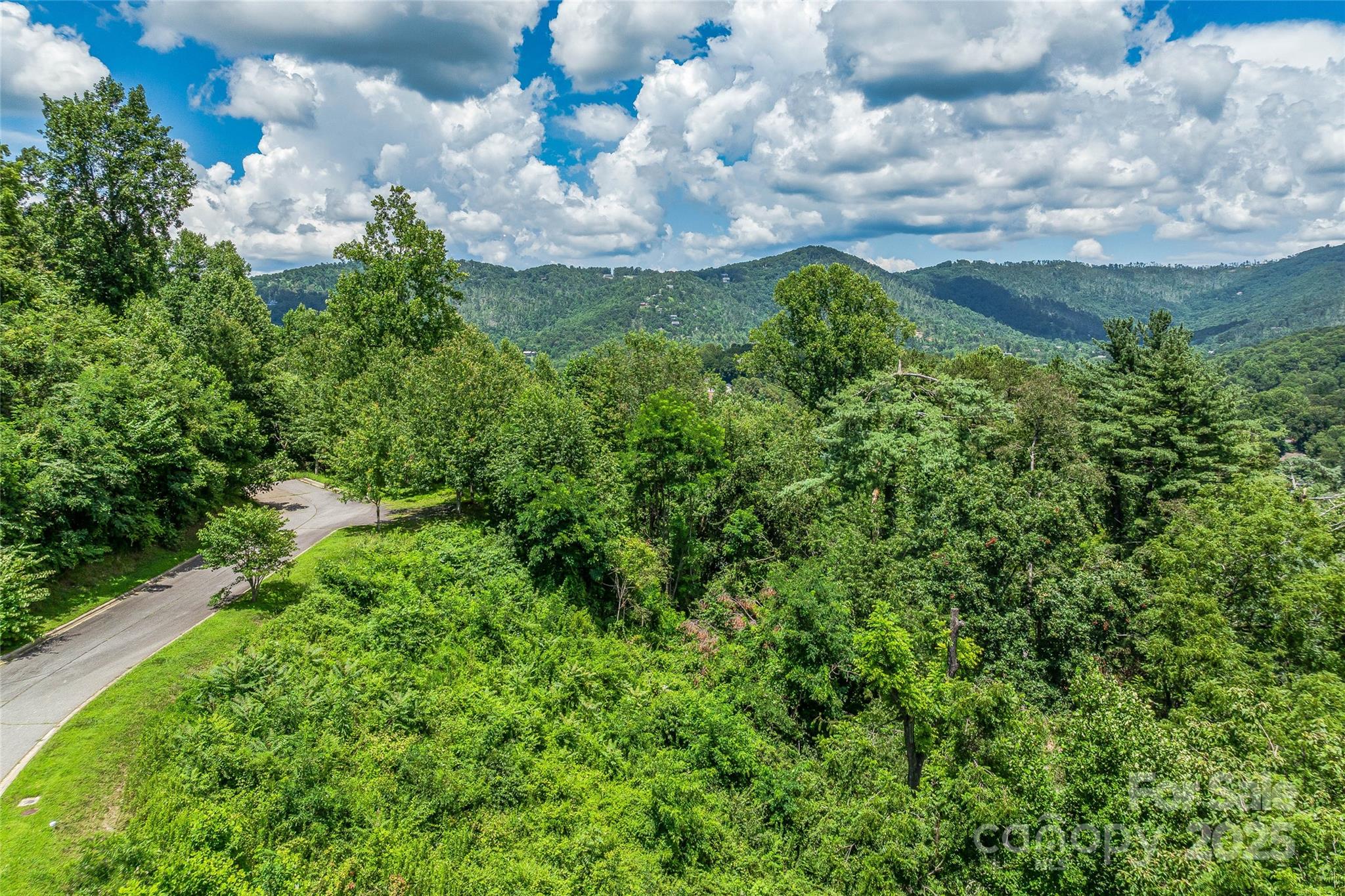 29 Grovepoint Way Asheville NC 28804
