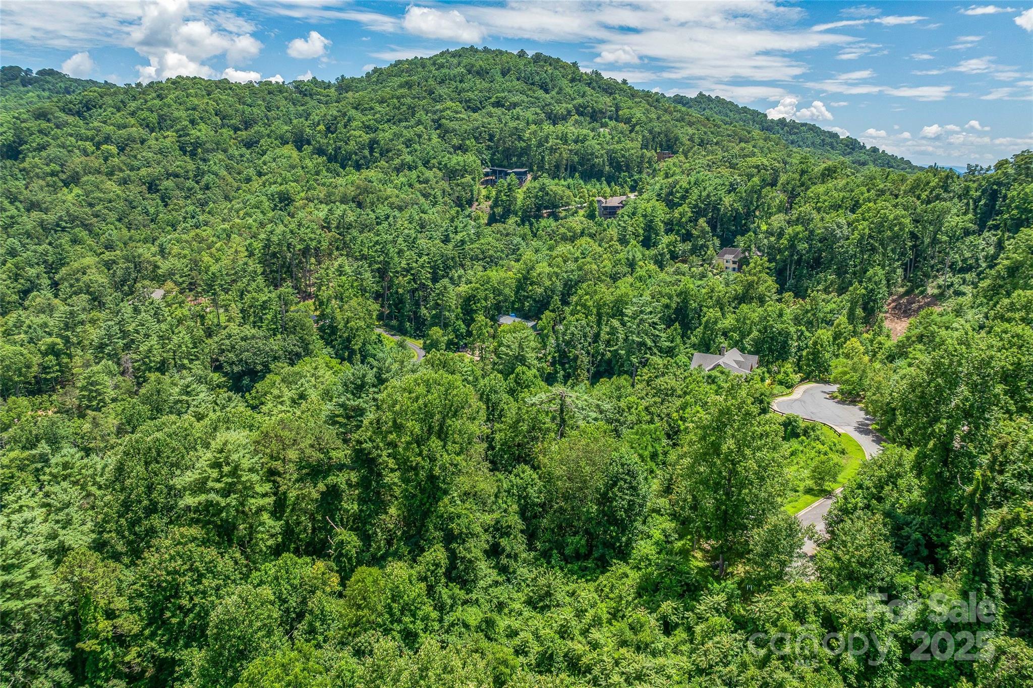 29 Grovepoint Way Asheville NC 28804