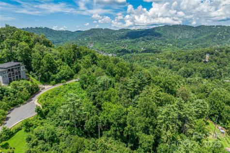 29 Grovepoint Way Asheville NC 28804