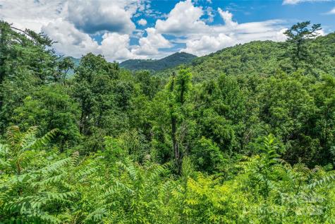 29 Grovepoint Way Asheville NC 28804