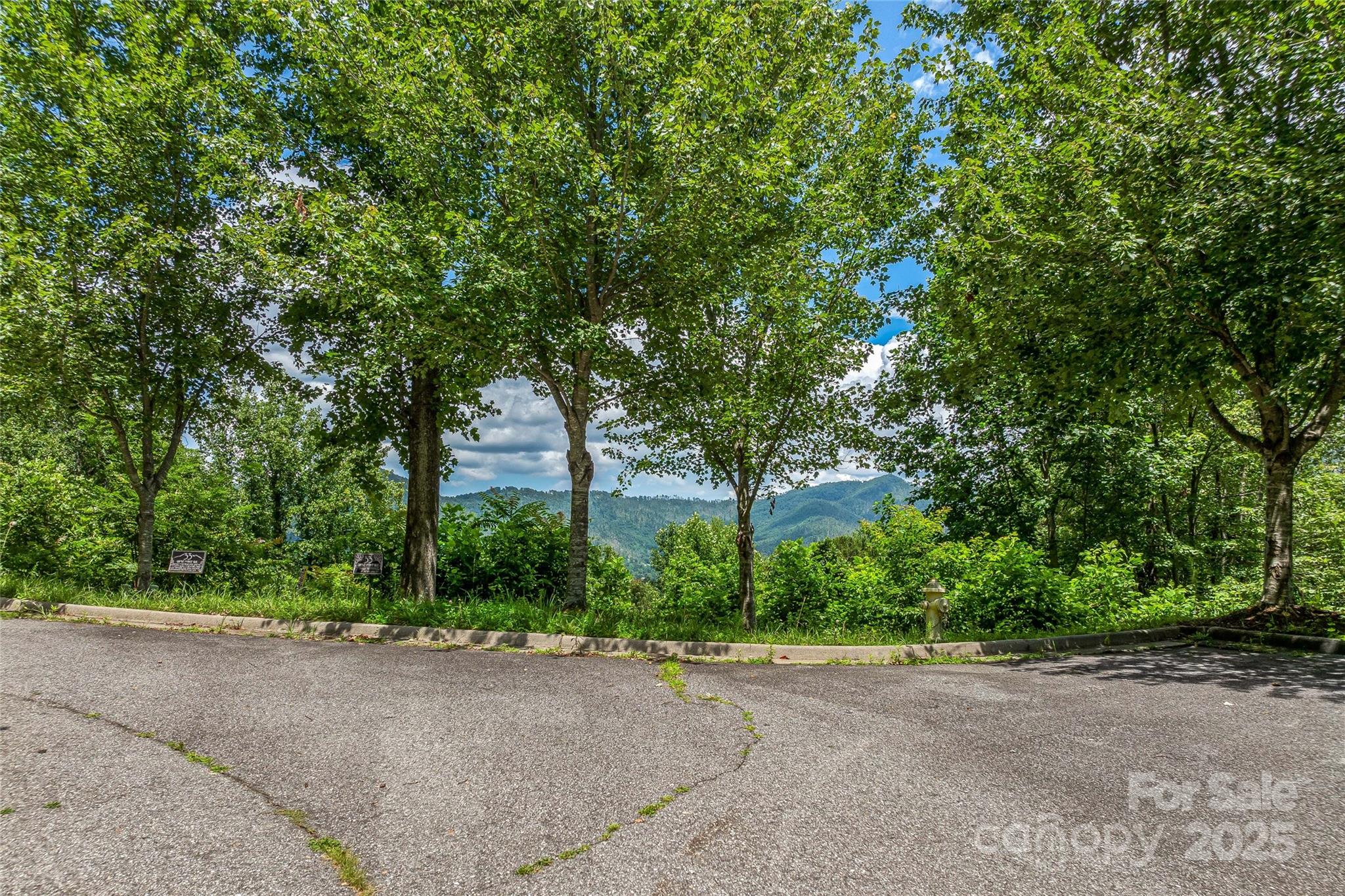 29 Grovepoint Way Asheville NC 28804