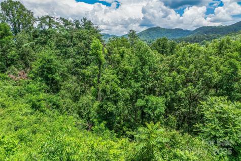 29 Grovepoint Way Asheville NC 28804