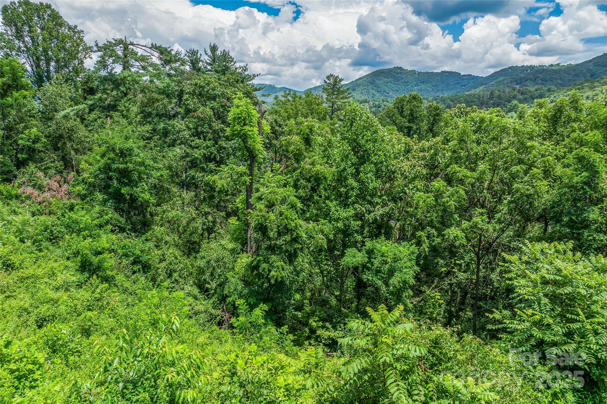 29 Grovepoint Way Asheville NC 28804