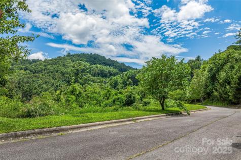 29 Grovepoint Way Asheville NC 28804