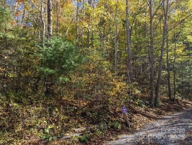 00 White Oak Road Waynesville NC 28786