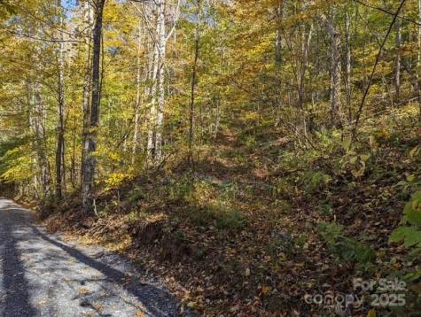 00 White Oak Road Waynesville NC 28786