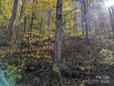 00 White Oak Road Waynesville NC 28786