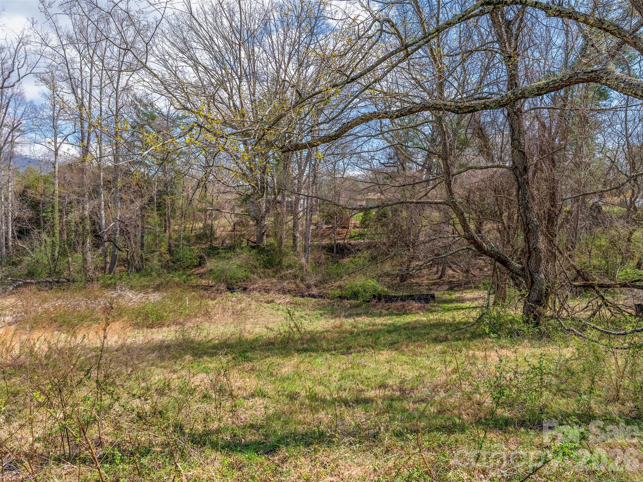 109 Round Table Trail Asheville NC 28803