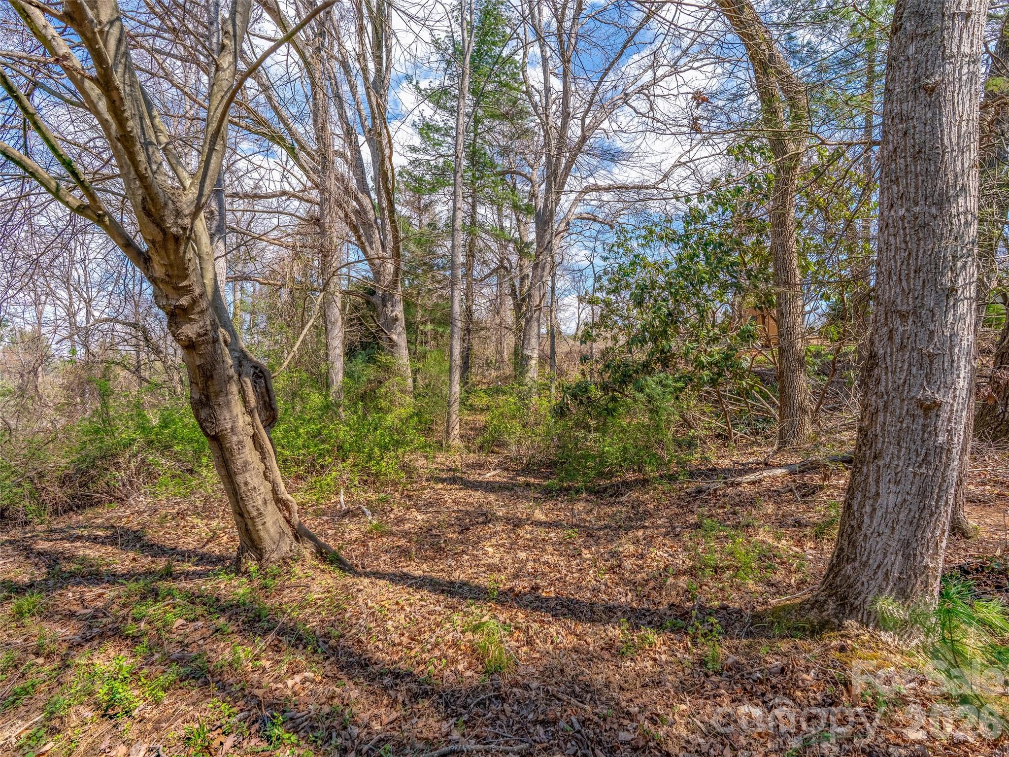 109 Round Table Trail Asheville NC 28803