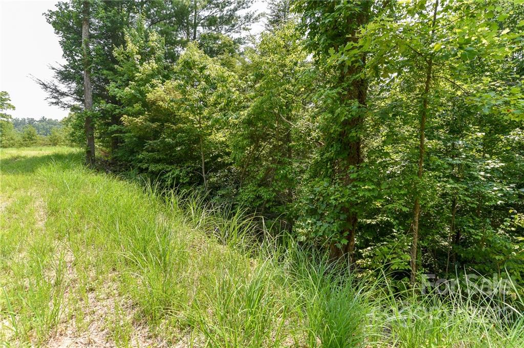 Lot 12 The Vines Boulevard Marshall NC 28753