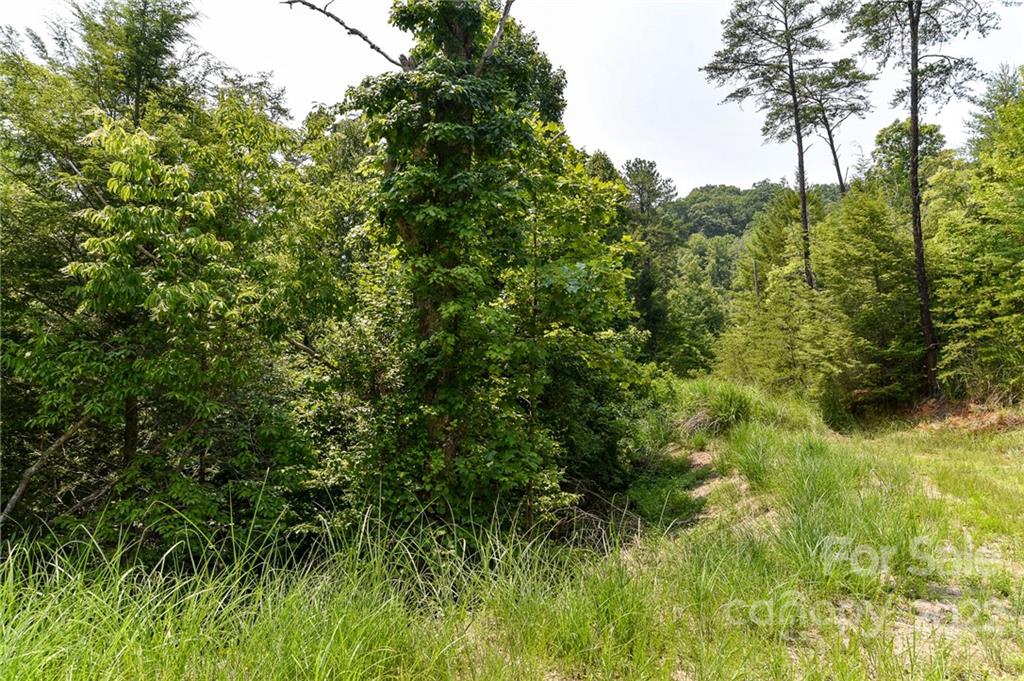 Lot 12 The Vines Boulevard Marshall NC 28753