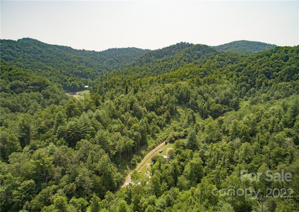Lot 12 The Vines Boulevard Marshall NC 28753