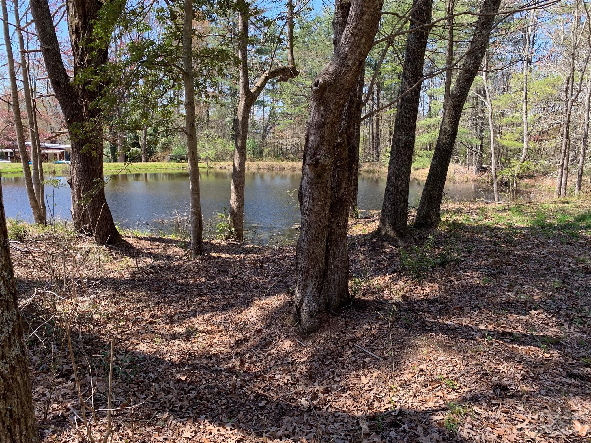 312 Hamilton Road Penrose NC 28766