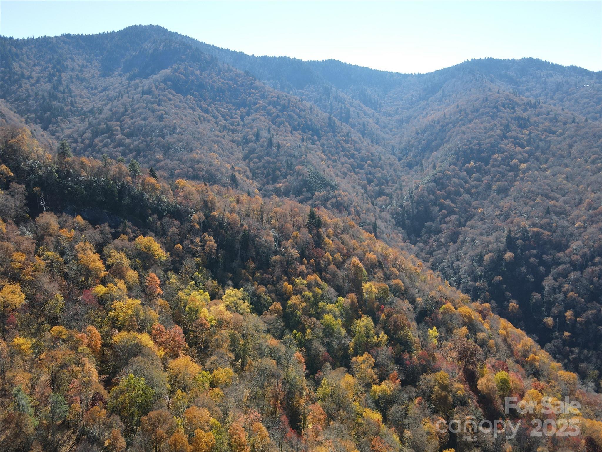 3837 & 3689 Plott Balsam Road Maggie Valley NC 28751