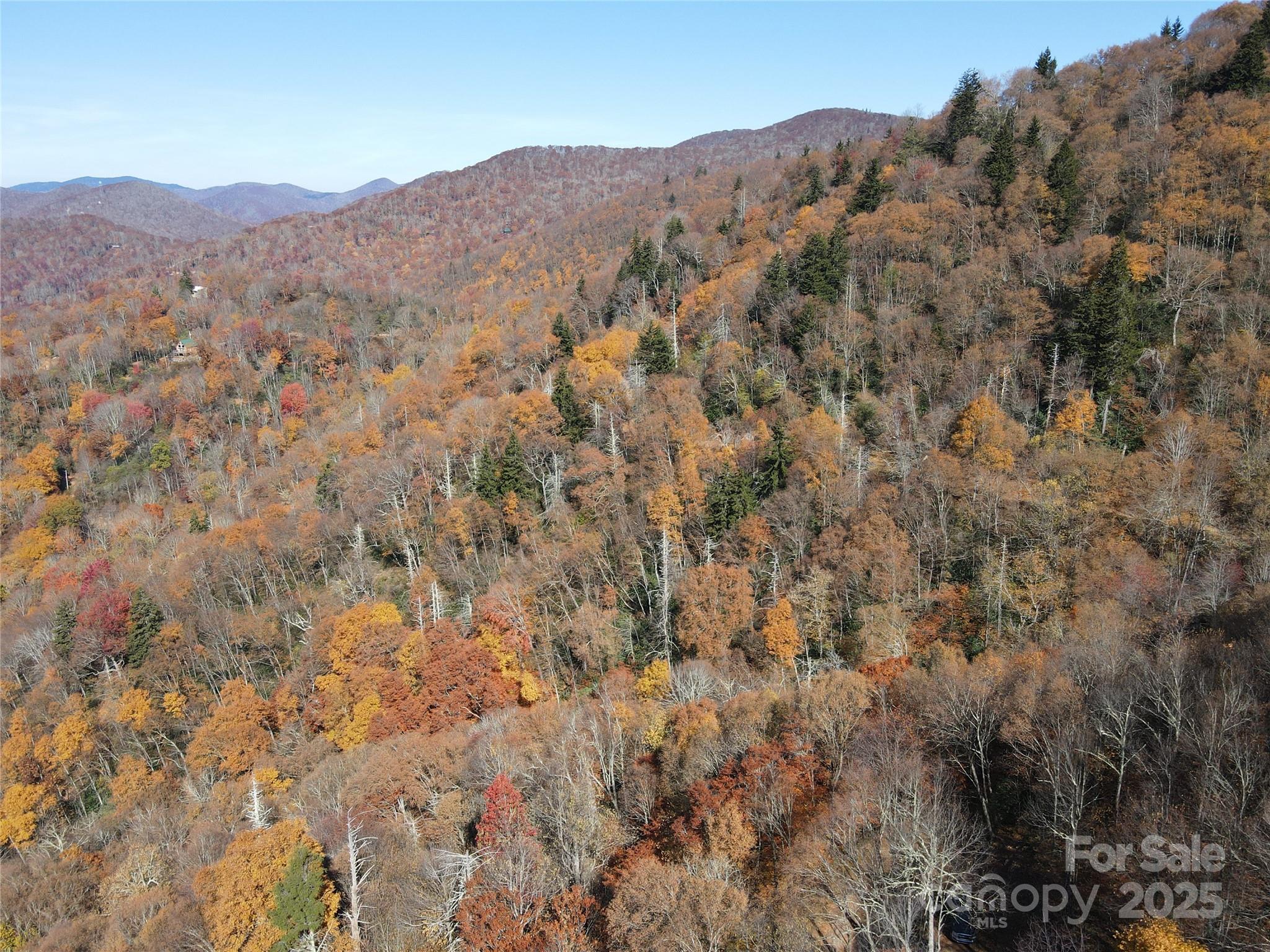3837 & 3689 Plott Balsam Road Maggie Valley NC 28751