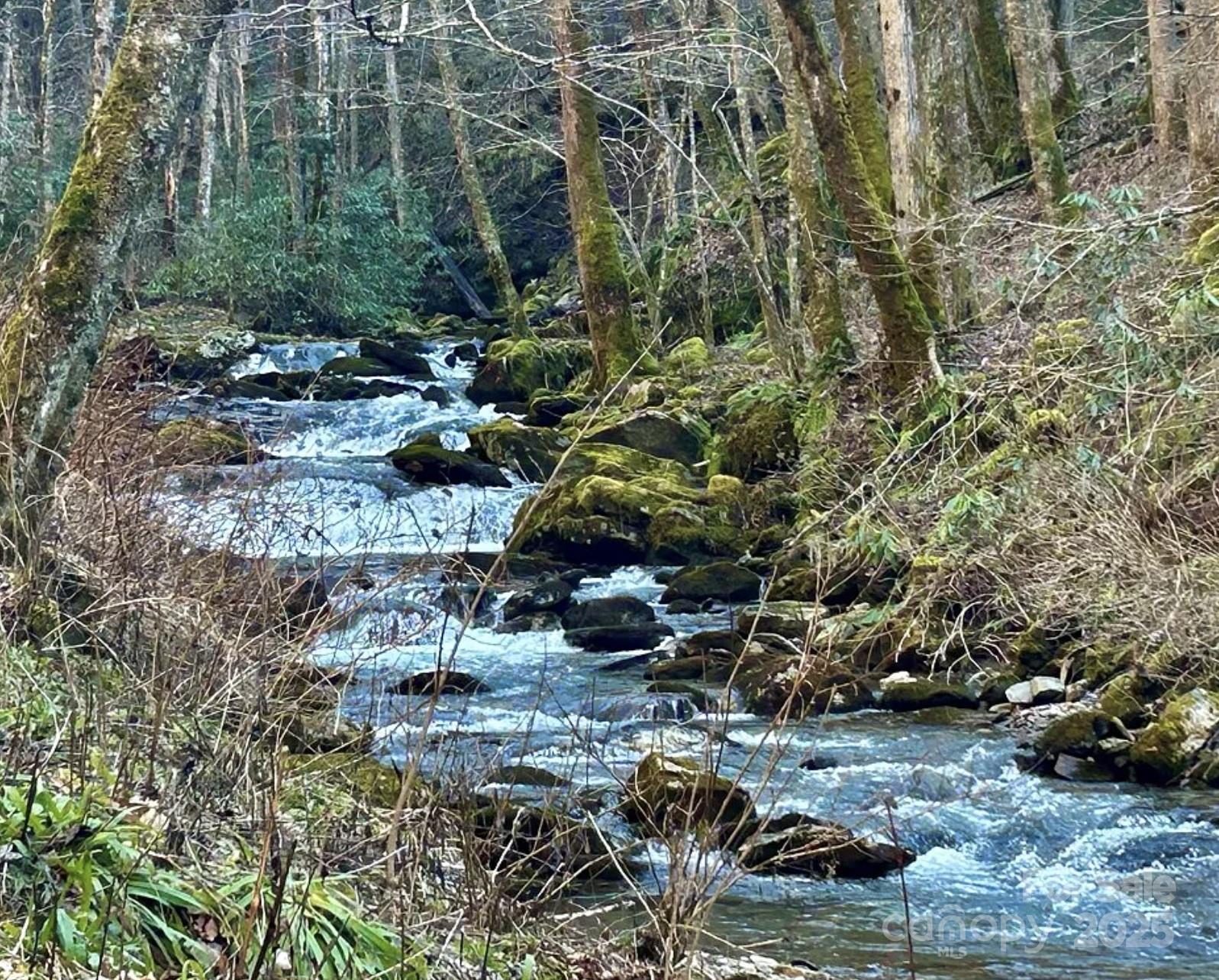 3837 & 3689 Plott Balsam Road Maggie Valley NC 28751