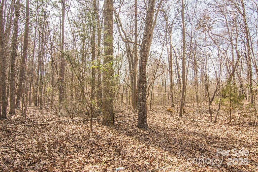 000 Jim Wilson Road Indian Land SC 29707