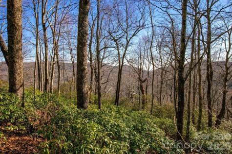 Tbd Oak Ridge Road Rosman NC 28772