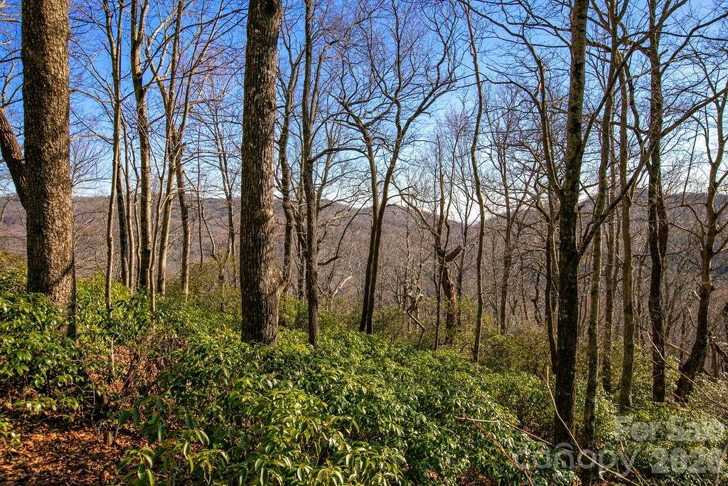 Tbd Oak Ridge Road Rosman NC 28772