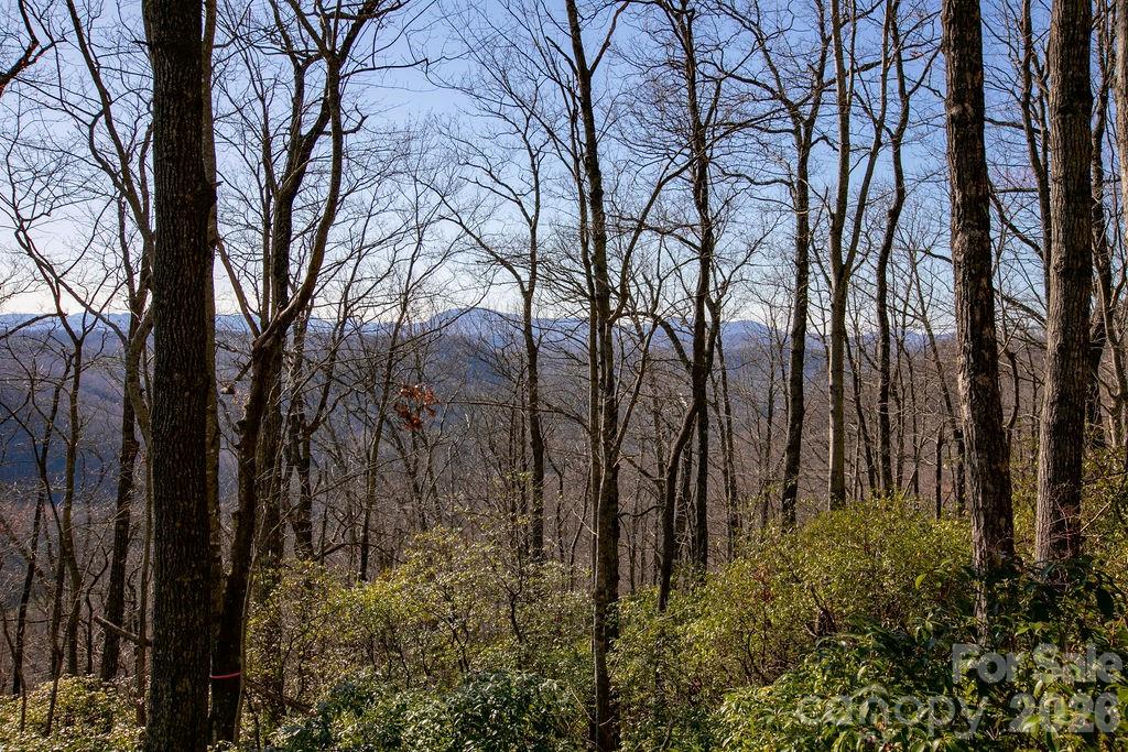 Tbd Oak Ridge Road Rosman NC 28772